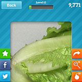  Lettuce 