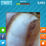  Monkfish 
