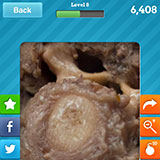 Oxtail Soup 
