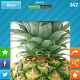  Pineapple 
