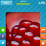  Pomegranate 