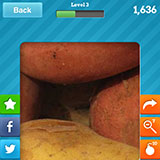  Potatoes 