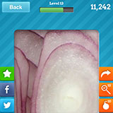  Red Onion 