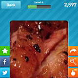  Roast Duck 