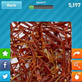  Saffron 