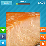  Salmon 