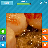  Scallops 