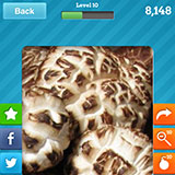  Shitake 