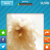  Spring Rolls (Level 16) 