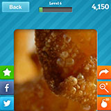  Wontons 